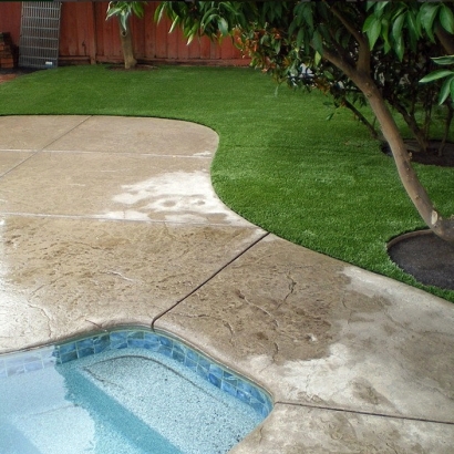 Fake Grass Carpet Samoset, Florida Home And Garden, Above Ground Swimming Pool