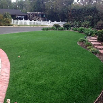 Fake Grass Carpet Tildenville, Florida Landscape Design, Landscaping Ideas For Front Yard