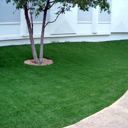 Fake Grass Gandy, Florida Landscaping, Commercial Landscape