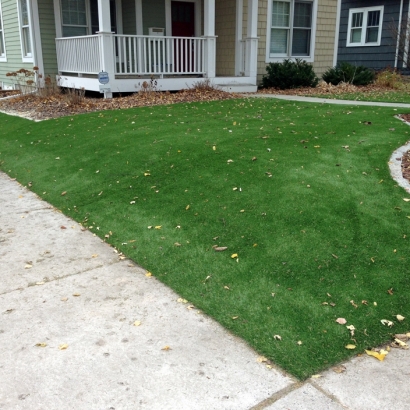 Fake Grass Pelican Bay, Florida Backyard Playground, Front Yard Landscaping