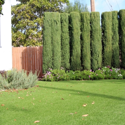 Fake Grass South Gate Ridge, Florida Backyard Deck Ideas, Front Yard Landscape Ideas