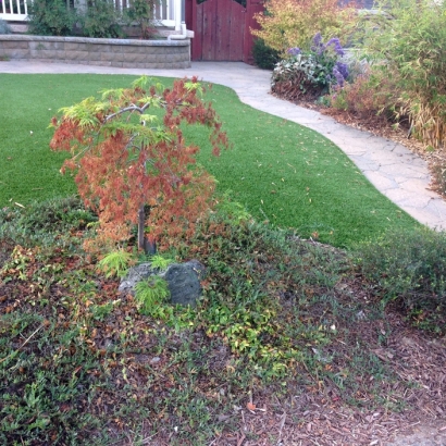 Fake Lawn Harbor Bluffs, Florida City Landscape, Small Front Yard Landscaping