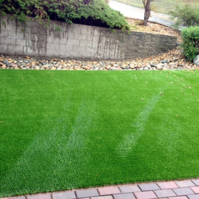 Fake Turf Bayonet Point, Florida Landscaping, Small Front Yard Landscaping