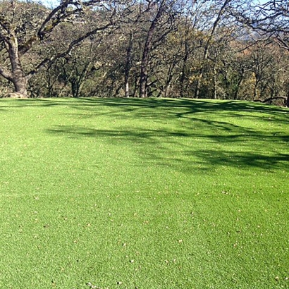 Fake Turf Black Diamond, Florida Landscape Design, Recreational Areas