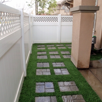 Fake Turf Lecanto, Florida Landscaping Business, Backyard Designs