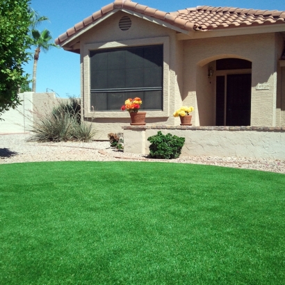 Fake Turf Westchase, Florida Lawn And Garden, Front Yard