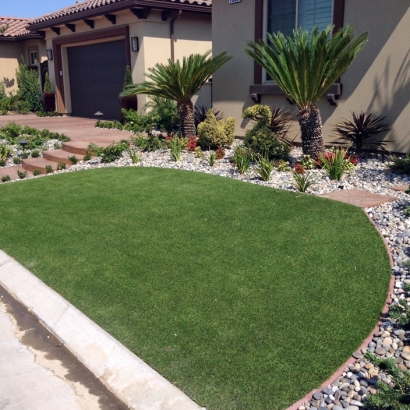 Faux Grass Fruitville, Florida Lawns, Front Yard Landscape Ideas