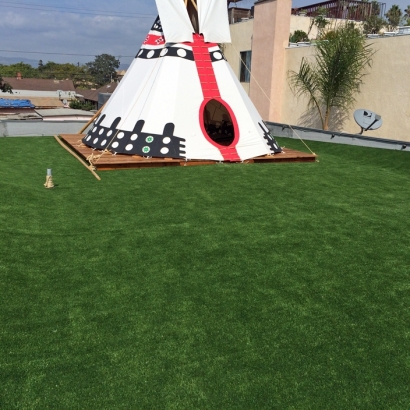 Faux Grass Riverview, Florida Rooftop, Patio