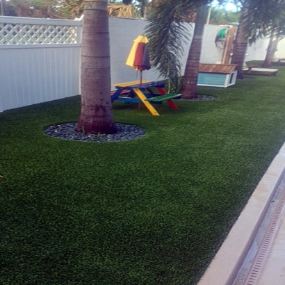 Faux Grass Tarpon Springs, Florida Design Ideas, Backyard Landscaping