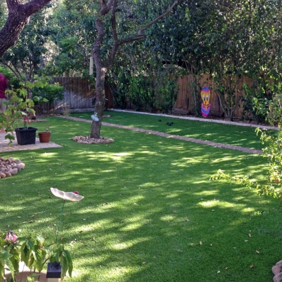 Grass Carpet Belleview, Florida Rooftop, Backyard Landscaping Ideas