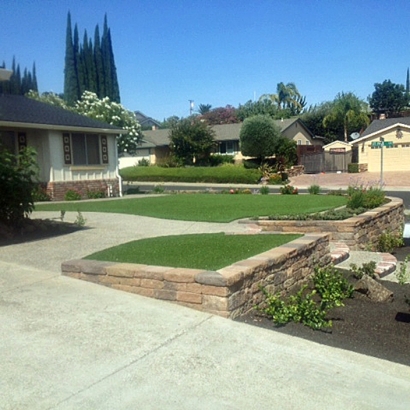 Grass Carpet Bloomingdale, Florida Roof Top, Front Yard Ideas