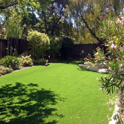 Grass Carpet Bradley Junction, Florida Landscape Design, Backyard Design