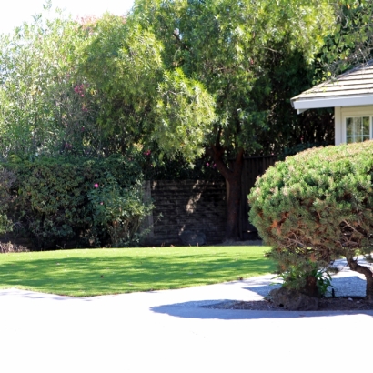 Grass Carpet Dade City, Florida Landscape Design, Front Yard