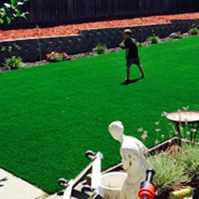 Grass Carpet Longwood, Florida City Landscape, Backyard Designs