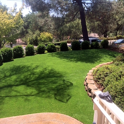 Grass Carpet Saint Petersburg, Florida Landscaping Business, Backyard