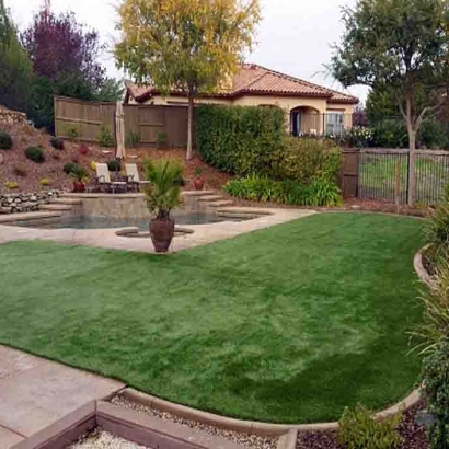 Grass Turf Bushnell, Florida City Landscape, Small Backyard Ideas