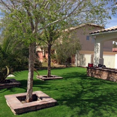 Grass Turf Wildwood, Florida Lawn And Landscape, Front Yard Landscaping Ideas