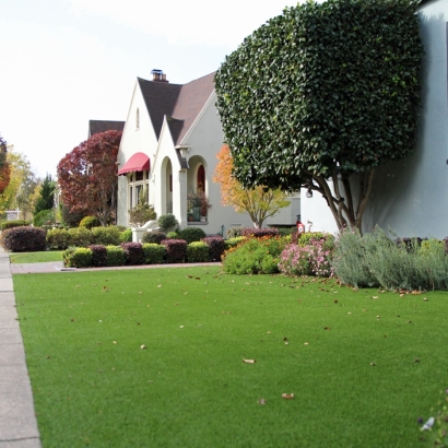 Green Lawn Eagle Lake, Florida Lawns, Front Yard Design