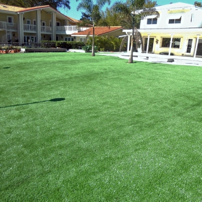 How To Install Artificial Grass Beverly Hills, Florida Backyard Playground, Kids Swimming Pools