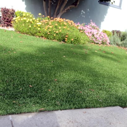 Installing Artificial Grass Garden Grove, Florida Landscape Photos, Front Yard Ideas