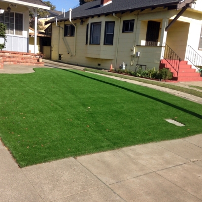 Installing Artificial Grass Masaryktown, Florida Design Ideas, Front Yard Design