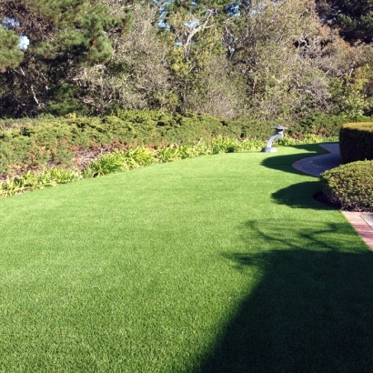 Lawn Services Inverness Highlands South, Florida Design Ideas, Front Yard Ideas