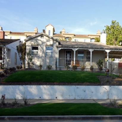 Outdoor Carpet Fern Park, Florida Backyard Playground, Front Yard Landscaping Ideas