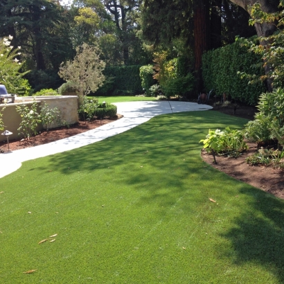 Outdoor Carpet Gulf Gate Estates, Florida Landscaping Business, Beautiful Backyards