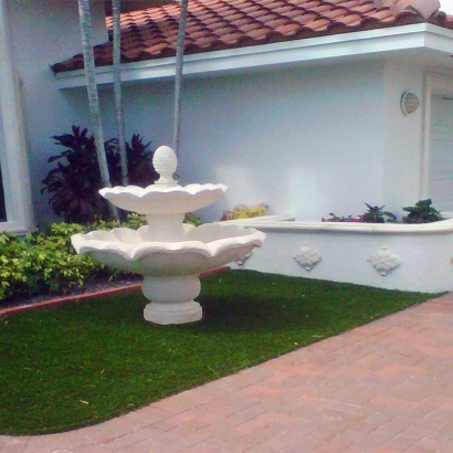 Outdoor Carpet Zephyrhills, Florida Rooftop, Landscaping Ideas For Front Yard