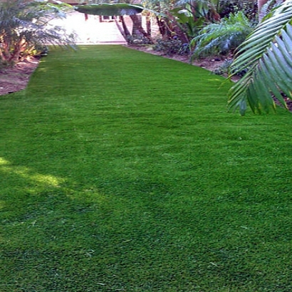 Plastic Grass Bayport, Florida City Landscape, Small Backyard Ideas