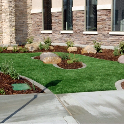 Plastic Grass Kathleen, Florida Landscaping Business, Commercial Landscape