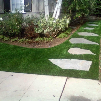 Plastic Grass Keystone, Florida Backyard Deck Ideas, Front Yard Landscaping Ideas