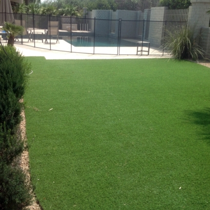 Synthetic Grass Cost Land O Lakes, Florida Landscaping, Pool Designs