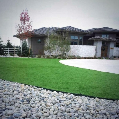 Synthetic Grass Cost Lemon Grove, Florida Roof Top, Front Yard Landscaping