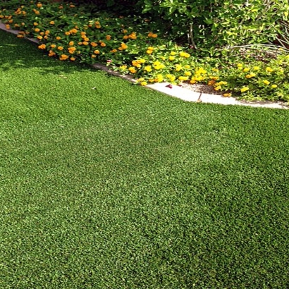 Synthetic Grass Cost Saint George, Florida Backyard Deck Ideas, Front Yard Landscape Ideas