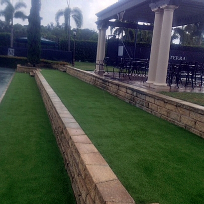 Synthetic Grass Holiday, Florida Design Ideas, Commercial Landscape