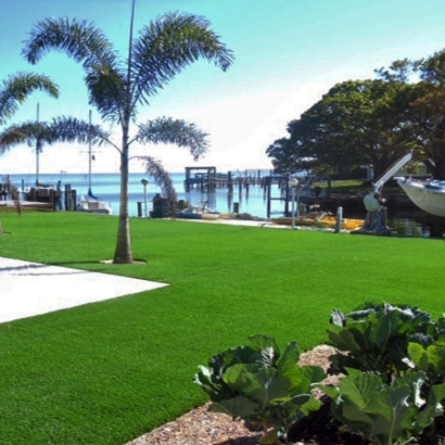 Synthetic Grass Lake Panasoffkee, Florida Home And Garden, Backyard Design