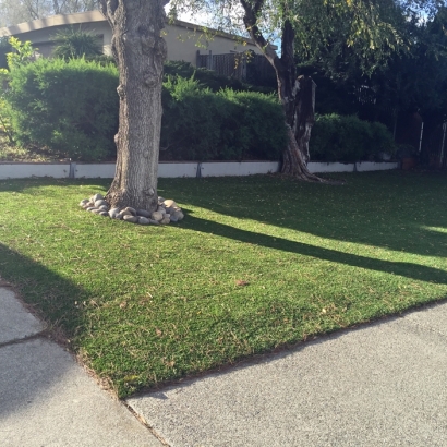 Synthetic Grass North Port, Florida City Landscape, Front Yard Landscaping