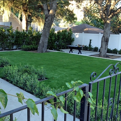 Synthetic Grass Sarasota Springs, Florida Roof Top, Front Yard Landscaping