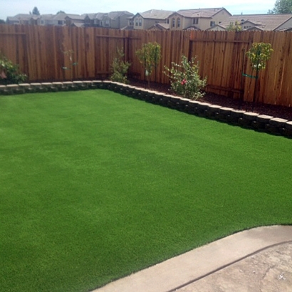 Synthetic Lawn East Lake, Florida Landscape Rock, Beautiful Backyards