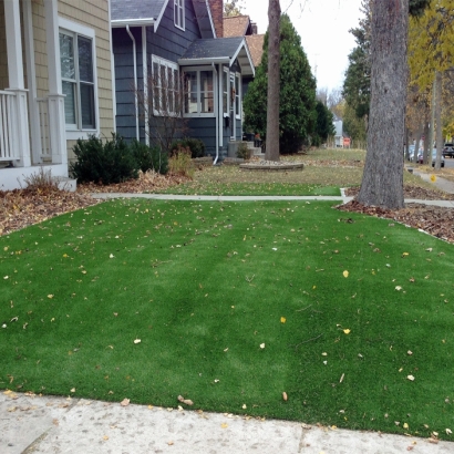 Synthetic Turf Babson Park, Florida Backyard Deck Ideas, Front Yard Landscaping