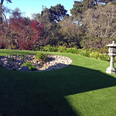 Synthetic Turf Boyette, Florida Home And Garden, Backyard Landscaping