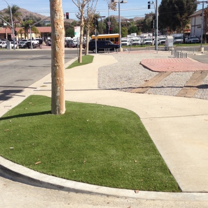 Synthetic Turf Oldsmar, Florida Lawn And Landscape, Commercial Landscape