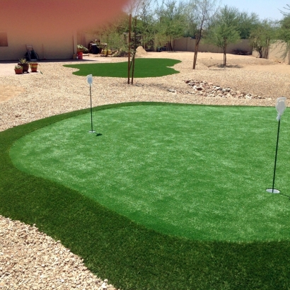 Synthetic Turf Palm Bay, Florida Artificial Putting Greens, Backyard