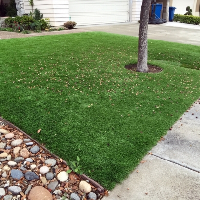 Synthetic Turf Siesta Key, Florida City Landscape, Front Yard Landscape Ideas