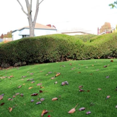 Synthetic Turf Supplier Bayshore Gardens, Florida Landscape Photos, Front Yard