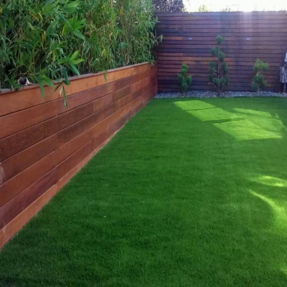 Synthetic Turf Supplier Hawthorne, Florida Landscape Photos, Backyard Landscaping Ideas