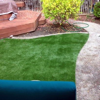 Synthetic Turf Supplier Hernando Beach, Florida Landscaping, Backyard Garden Ideas