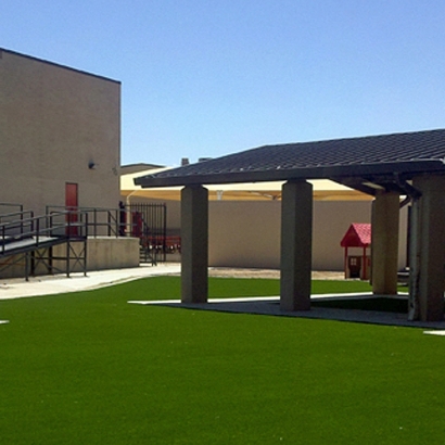 Synthetic Turf Supplier Lacoochee, Florida Landscape Design, Commercial Landscape