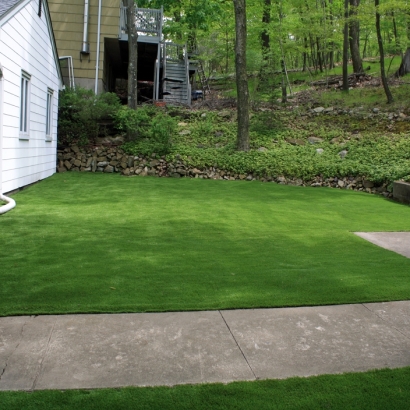 Synthetic Turf Supplier Winter Garden, Florida Landscape Photos, Front Yard Ideas